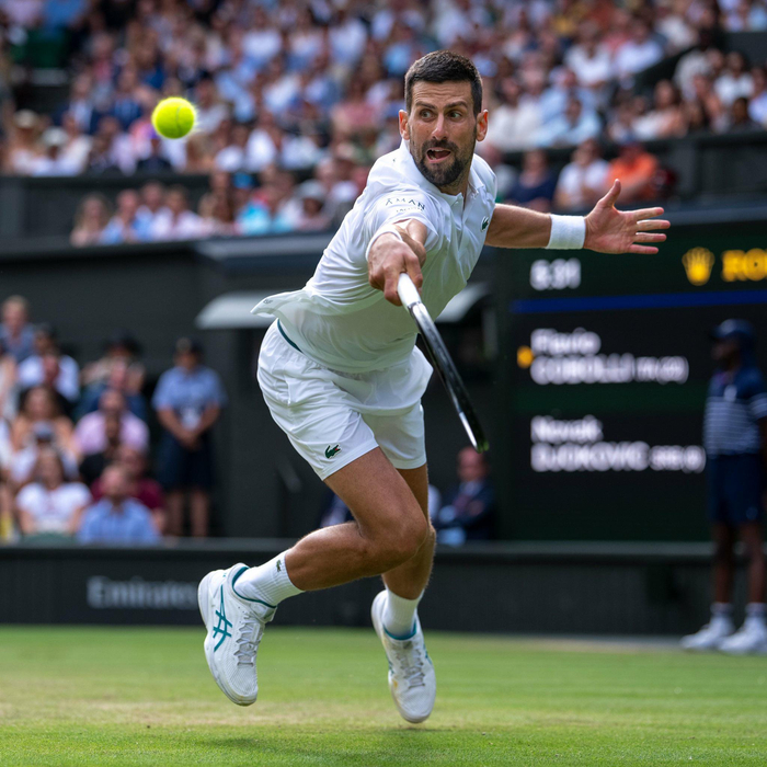 世界网球队完胜德国网球队，德约科维奇高光表现